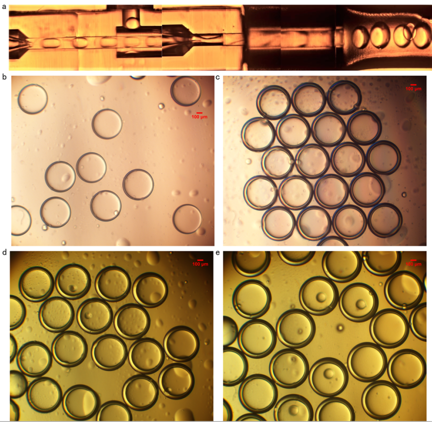 《Journal of Food Engineering》：利用微纳微尺度3D打印技术制备微流控液滴生成芯片