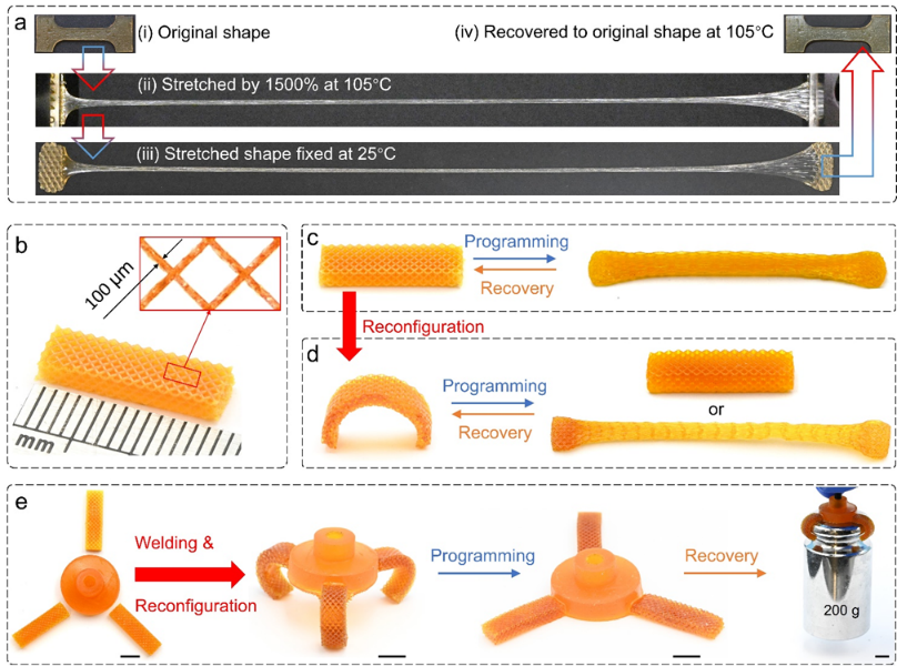 南方科技大学葛锜教授课题组《Science Advances》：高性能共价适应性网络形状记忆聚合物的可重构4D打印