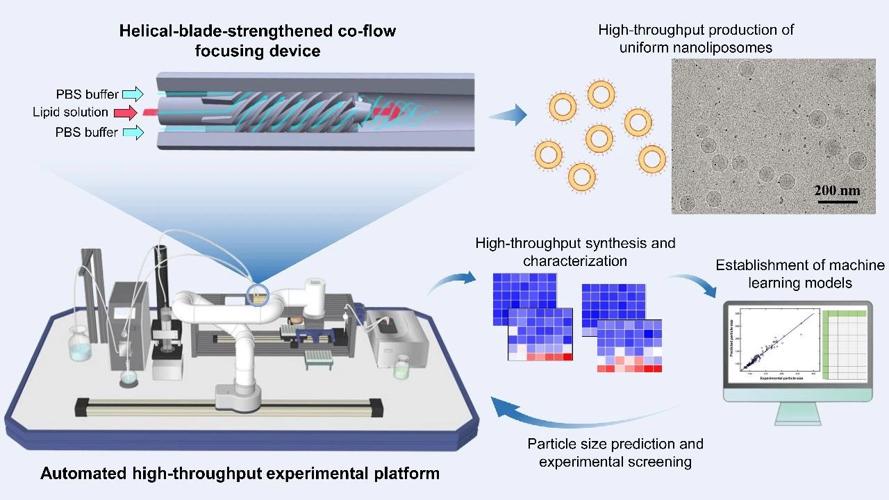 豪利体育科学院上海硅酸盐研究所马明研究员团队《Nano Today》：融合螺旋聚焦流微反应器与高通量筛选技术获得高度均一的纳米脂质体
