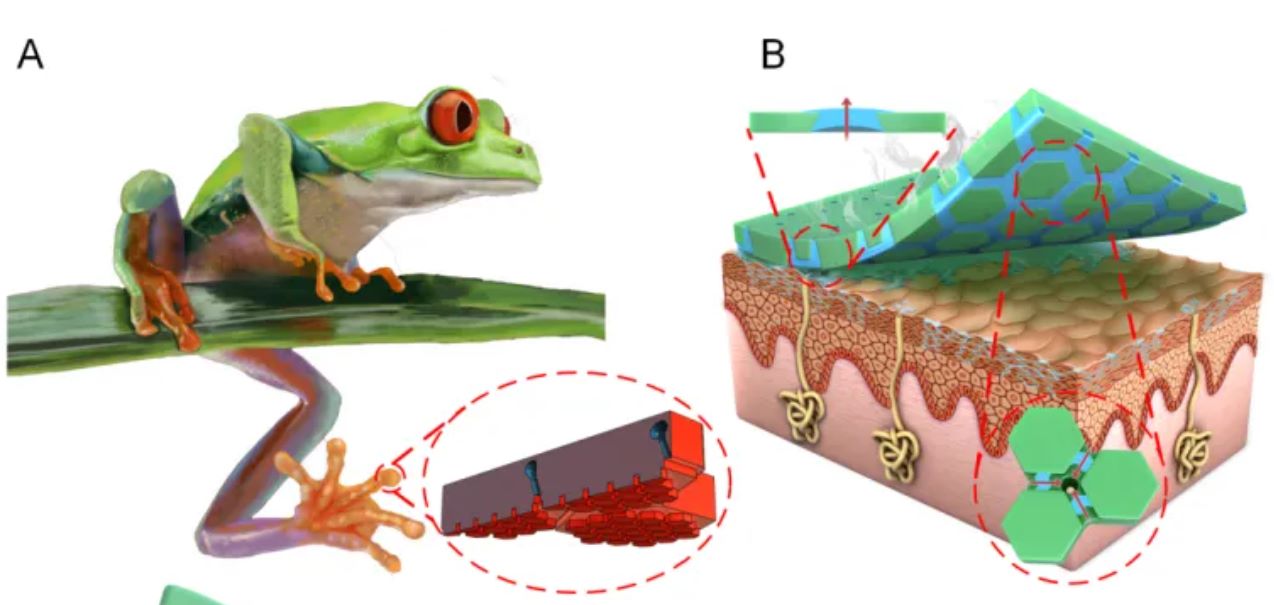 微纳级3D打印频现Science、Nature等顶刊，成科研创新热点