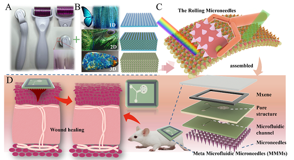 南京工业大学药学院高兵兵副教授团队《Adv. Funct. Mater. 》：仿生超构微流控微针贴片，用于高效伤口管理